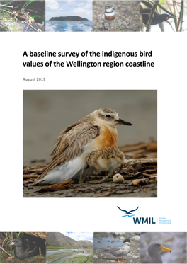 A Baseline Survey of the Indigenous Bird Values of the Wellington Region Coastline