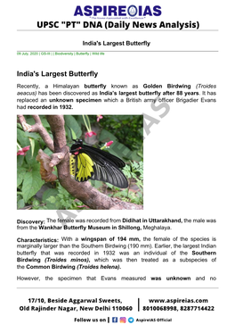 India's Largest Butterfly