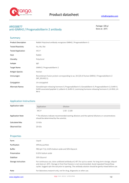 Anti-GNRH2 / Progonadoliberin 2 Antibody (ARG58877)