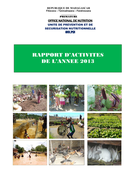 Rapport D'activites De L'annee 2013