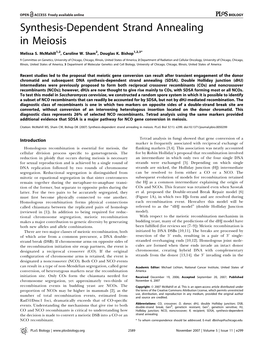 Synthesis-Dependent Strand Annealing in Meiosis