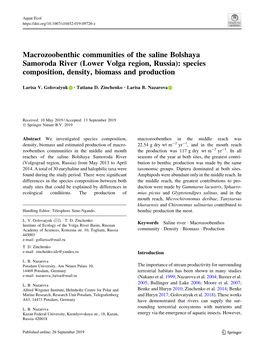 Macrozoobenthic Communities of the Saline Bolshaya Samoroda River (Lower Volga Region, Russia): Species Composition, Density, Biomass and Production