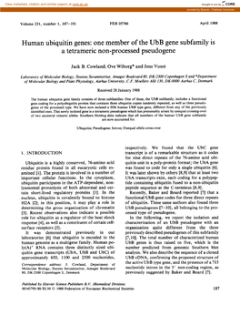 Human Ubiquitin Genes: One Member of the Ubb Gene Subfamily Is a Tetrameric Non-Processed Pseudogene