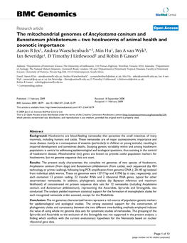 The Mitochondrial Genomes of Ancylostoma Caninum And