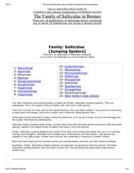 The Family of Salticidae in Borneo (Sabah, Sarawak, Brunei and Kalimantan)