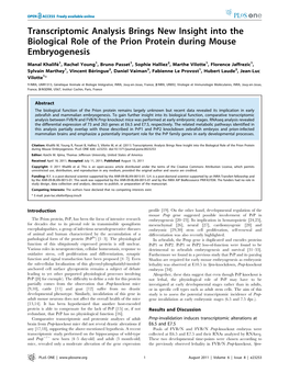 Transcriptomic Analysis Brings New Insight Into the Biological Role of the Prion Protein During Mouse Embryogenesis