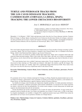 Turtle and Pterosaur Tracks from the Los Cayos Dinosaur Tracksite, Cameros Basin (Cornago, La Rioja, Spain): Tracking the Lower Cretaceous Bio-Diversity