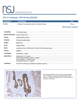CPI-17 Antibody / PPP1R14A (R32782)