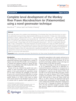 Complete Larval Development of the Monkey River Prawn