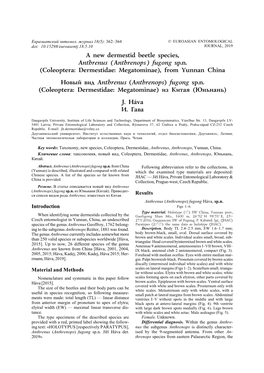 A New Dermestid Beetle Species, Anthrenus (Anthrenops) Fugong Sp.N