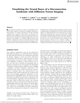 Visualizing the Neural Bases of a Disconnection Syndrome with Diffusion Tensor Imaging