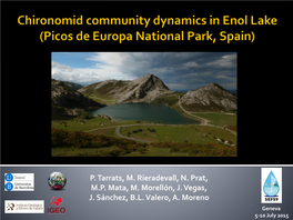 Chironomid Community Dynamics in Enol Lake (Picos De Europa