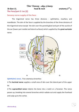 Tikrit University – Collage of Dentistry Dr.Ban IS Head & Neck Anatomy 2