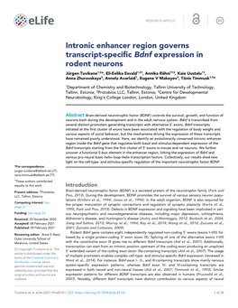 Intronic Enhancer Region Governs Transcript-Specific Bdnf Expression