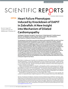 Heart Failure Phenotypes Induced by Knockdown of DAPIT in Zebrafish