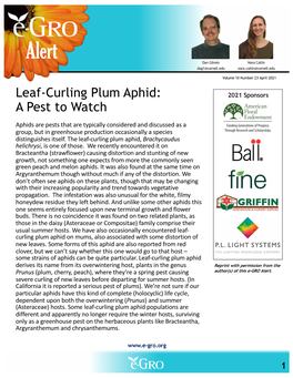 Leaf-Curling Plum Aphid: 2021 Sponsors a Pest to Watch