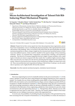 Micro-Architectural Investigation of Teleost Fish Rib Inducing Pliant Mechanical Property