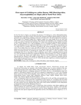 (Dactylogyridea; Ancyrocephalidae) on Tilapia Zillii in North West Africa