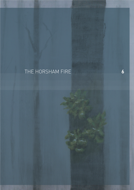 6 the Horsham FIRE