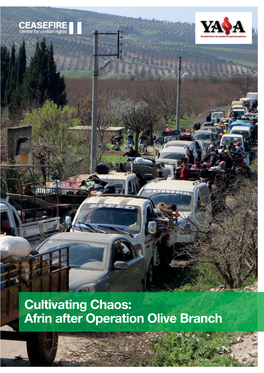 Cultivating Chaos: Afrin After Operation Olive Branch © Ceasefire Centre for Civilian Rights and YASA E.V