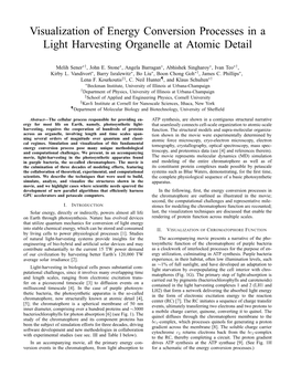 Visualization of Energy Conversion Processes in a Light Harvesting Organelle at Atomic Detail