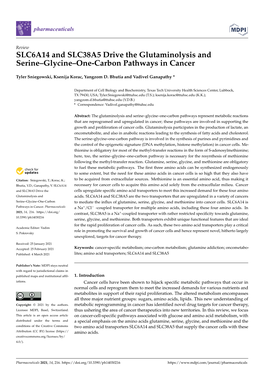 SLC6A14 and SLC38A5 Drive the Glutaminolysis and Serine–Glycine–One-Carbon Pathways in Cancer