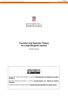 Function and Operator Theory on Large Bergman Spaces