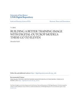 BUILDING a BETTER TRAINING IMAGE with DIGITAL OUTCROP MODELS: THESE GO to ELEVEN Alexandra Pickel