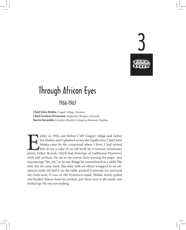 Through African Eyes