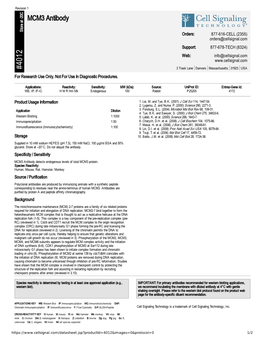 MCM3 Antibody A