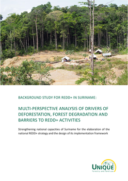 Multi-Perspective Analysis of Drivers of Deforestation, Forest Degradation En