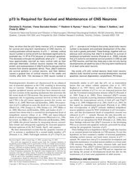 P73 Is Required for Survival and Maintenance of CNS Neurons