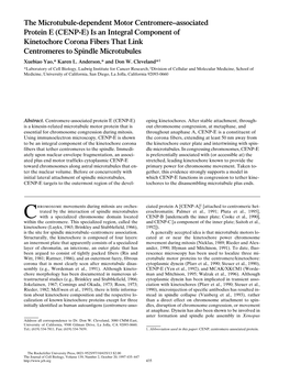 CENP-E) Is an Integral Component of Kinetochore Corona Fibers That Link Centromeres to Spindle Microtubules Xuebiao Yao,* Karen L