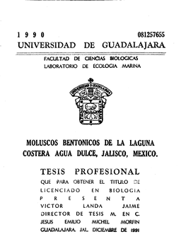 Universidad De Guadalajara Tesis Profesional