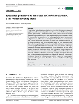 Specialized Pollination by Honeybees in Cymbidium Dayanum, a Fall–Winter Flowering Orchid