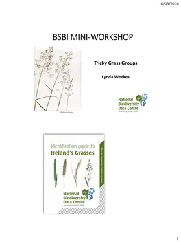 Bsbi Mini-Workshop