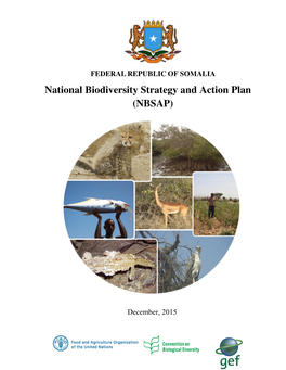 SOMALIA National Biodiversity Strategy and Action Plan (NBSAP)