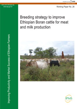 Breeding Strategy to Improve Ethiopian Boran Cattle for Meat and Milk Production