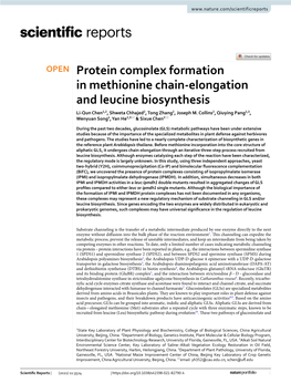 Protein Complex Formation in Methionine Chain-Elongation and Leucine Biosynthesis