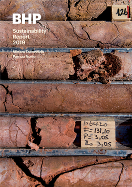 Sustainability Report 2019