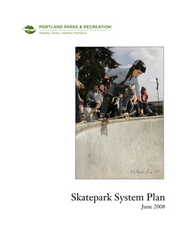 Skatepark System Plan 2008