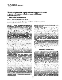 A-Glycerophosphate Dehydrogenase Within the Genus Drosophila (Dipteran Evolution/Unit Evolutionary Period) GLEN E