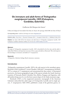 On Immature and Adult Forms of Trichognathus Marginipennis Latreille, 1829 (Coleoptera, Carabidae, Galeritini)