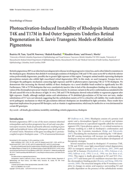 Photoactivation-Induced Instability of Rhodopsin Mutants T4K and T17M in Rod Outer Segments Underlies Retinal Degeneration in X