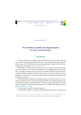 The Suitability of Polish Ortho-Lignite Deposits for Clean Coal Technologies