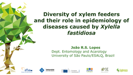 Xylella Fastidiosa