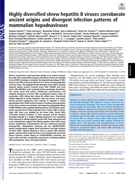 Highly Diversified Shrew Hepatitis B Viruses Corroborate Ancient Origins and Divergent Infection Patterns of Mammalian Hepadnaviruses