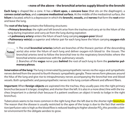 • None of the Above - the Bronchial Arteries Supply Blood to the Bronchi Each Lung Is Shaped Like a Cone