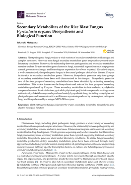 Secondary Metabolites of the Rice Blast Fungus Pyricularia Oryzae: Biosynthesis and Biological Function