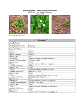 TAXONOMY Family Names Scientific Names